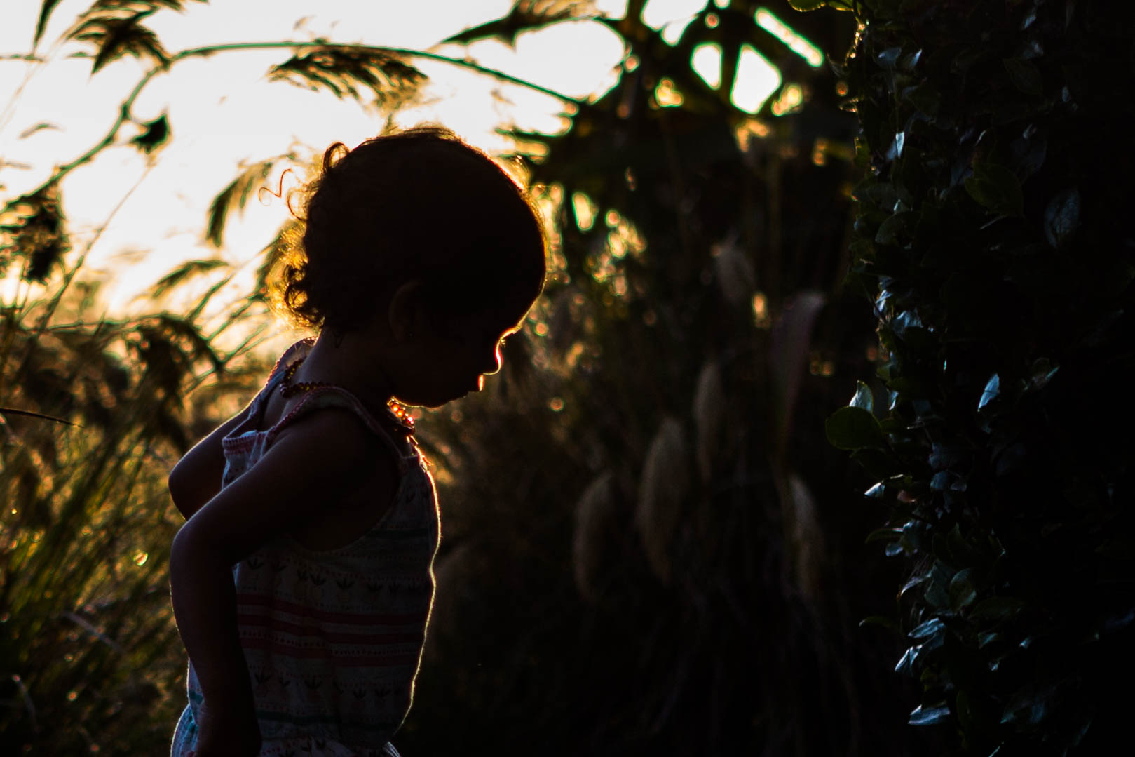 Here a silhouette of my girl taken during the Golden Hour. Acá un contraluz de mi hija sacado durante la Hora Mágica.